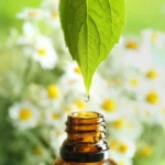 Aromaterapia: Promovendo Bem-Estar